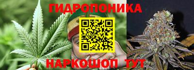 прущие крисы Жуковский