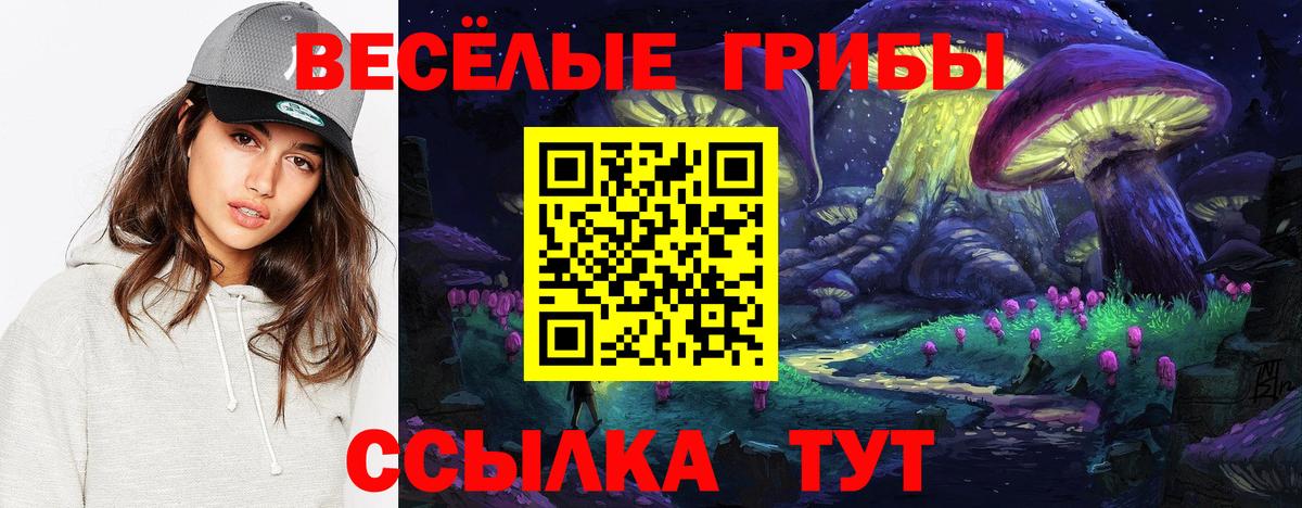 Касимов  Галлюциногенные грибы прущие грибы  Вход с VPN 